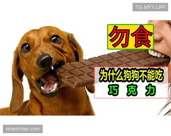 颜骏凌家的狗吃的都比我好 颜骏凌家的狗吃的都比我好